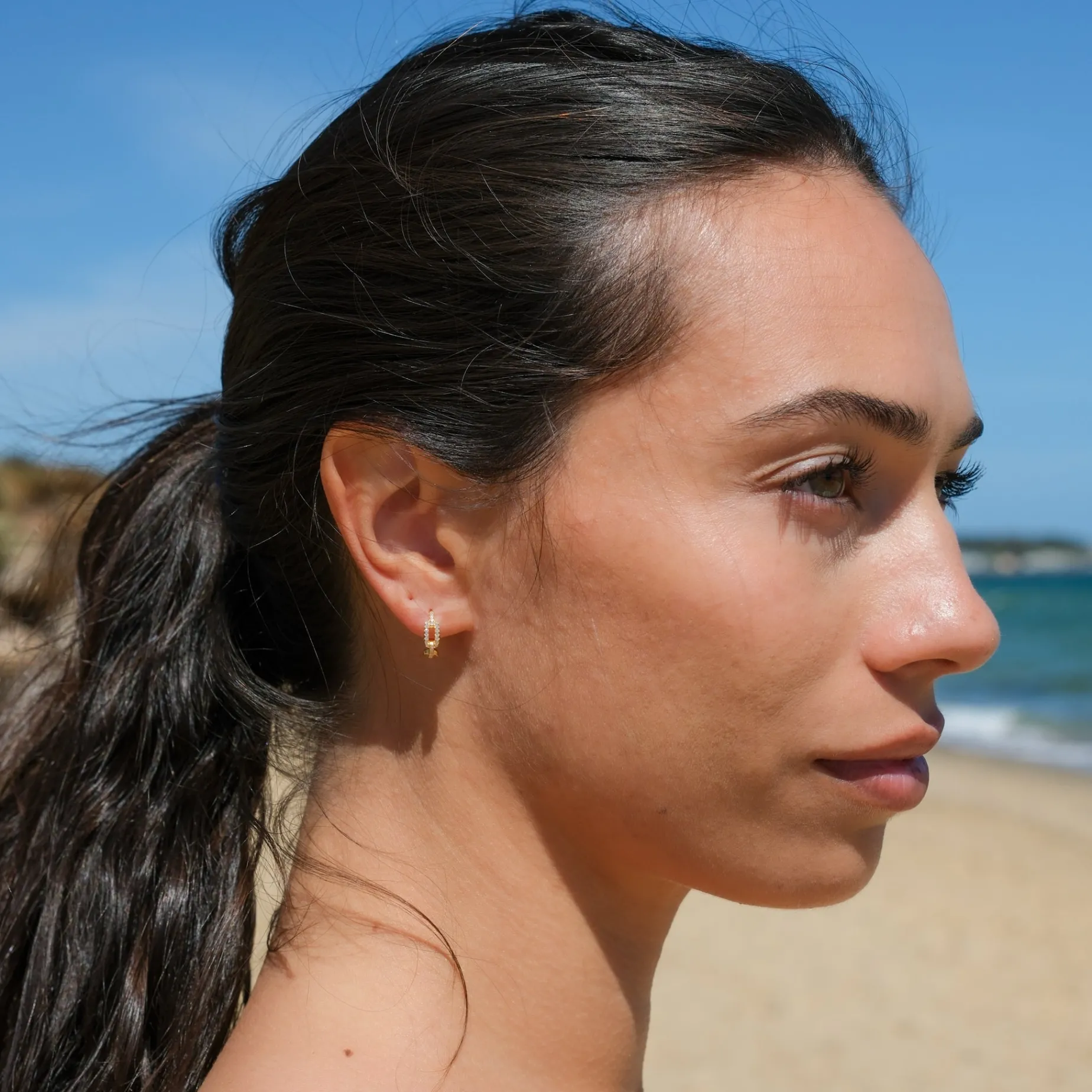 Elegance & Glamour earrings